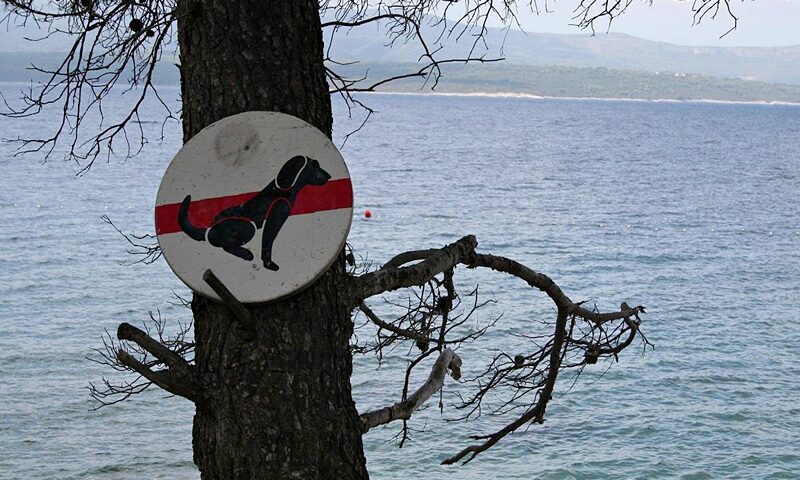 Podział plaż w Chorwacji