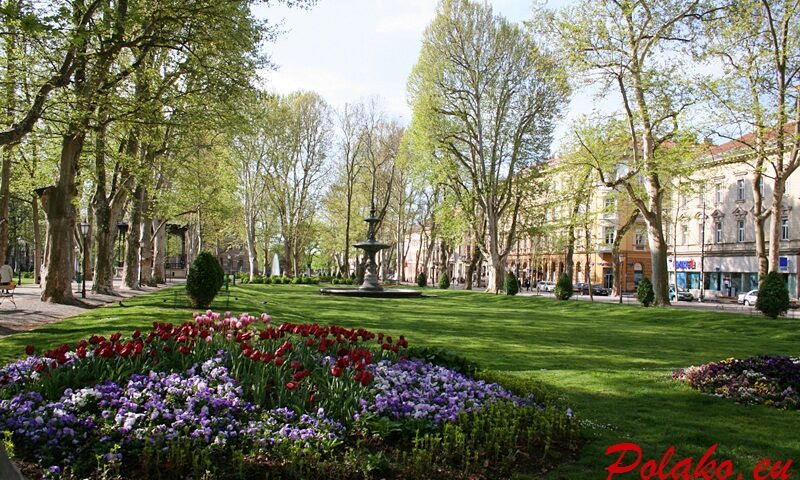 15 wiosennych zdjęć z Zagrzebia