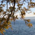 Jesienna odsłona wyspy Brač