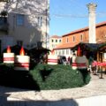Zadar w świątecznym wydaniu