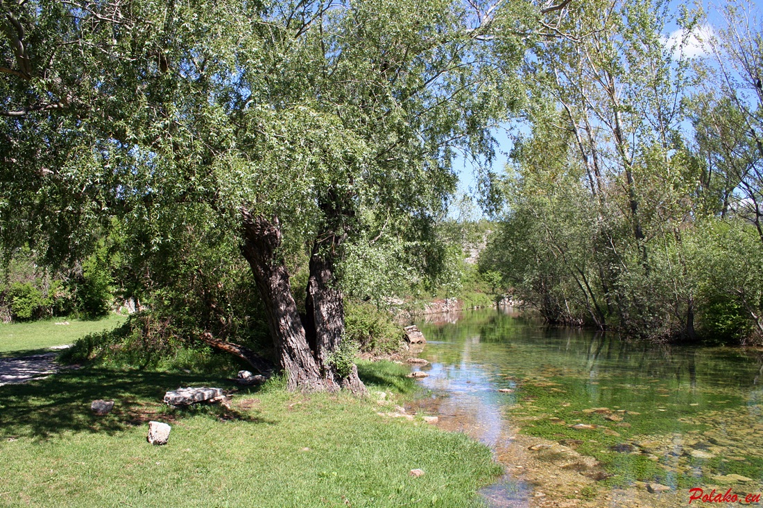 Źródło rzeki Cetina